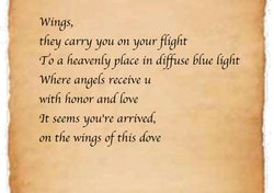 Tekst 5 " Wings" 